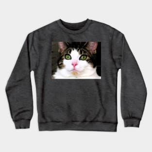 Mina The Cat Crewneck Sweatshirt